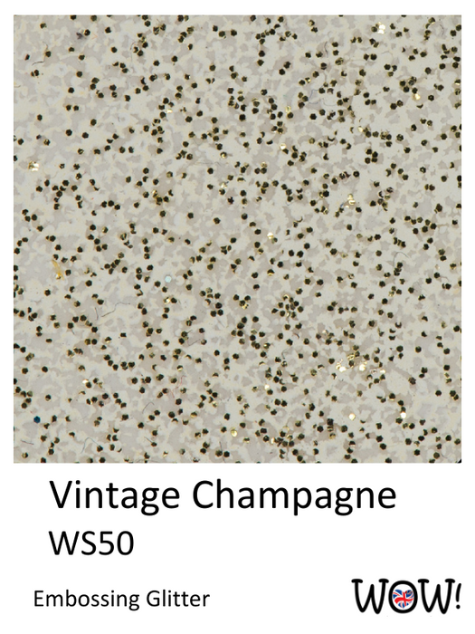 Vintage Champagne_Swatches 2023 WOW Embossing Powder